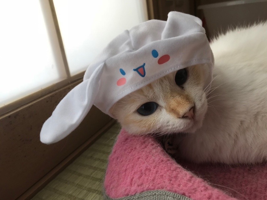 ありがとうございます☺️