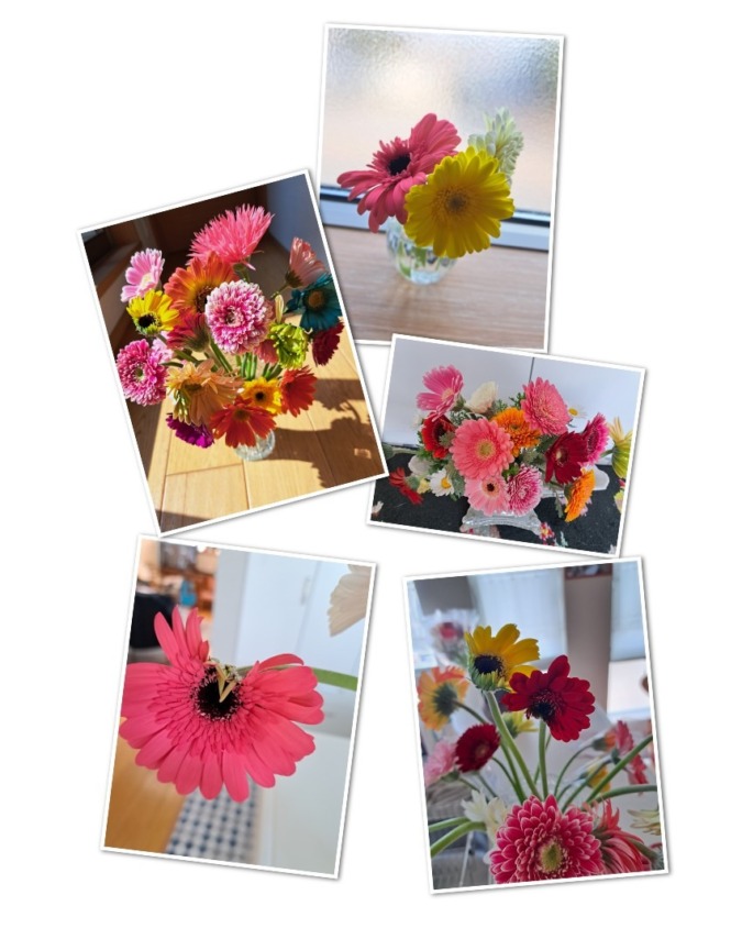 春が届きました🌸