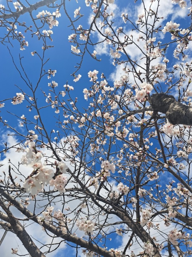 悪崎さんとも違う幸ちゃん