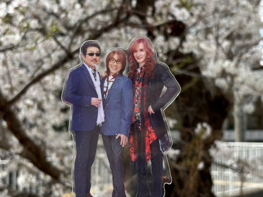 桜×アルフィー