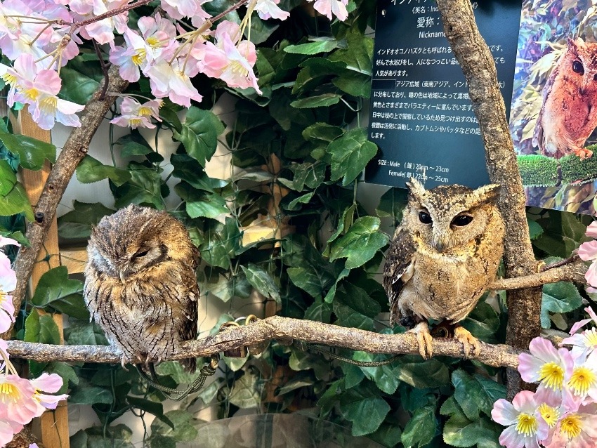 坂崎さん、お誕生日おめでとうございます