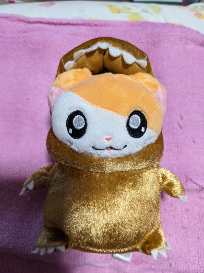 ゴジハムちゃん🐹頭、脱いだのだぁ😆