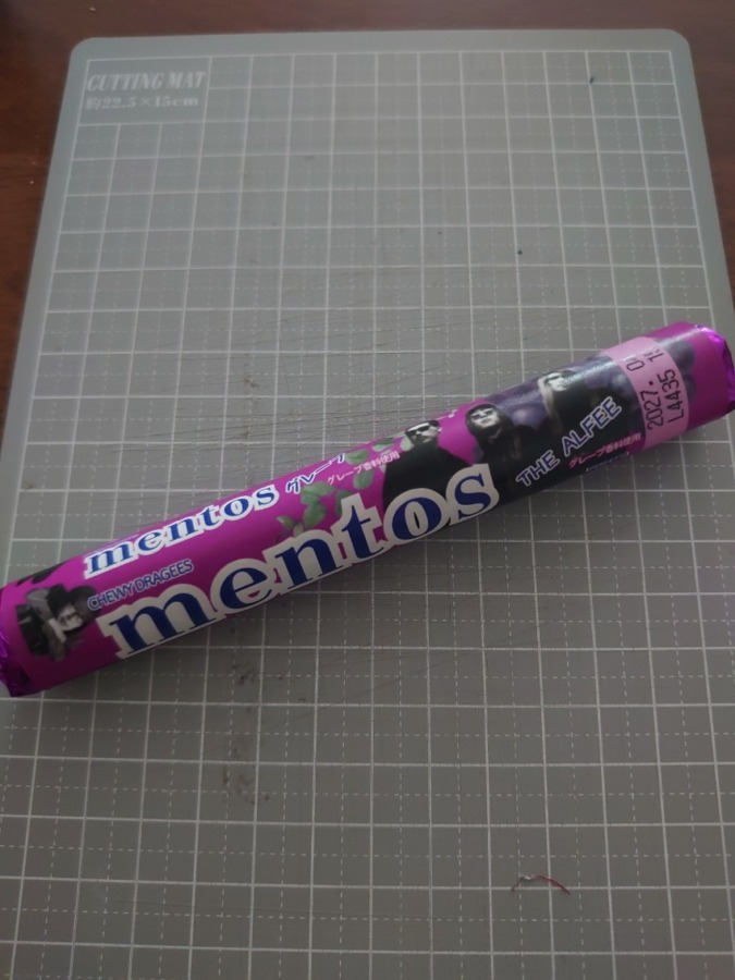 春ツアーのお配り物