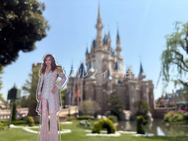 タカミーとシンデレラ城