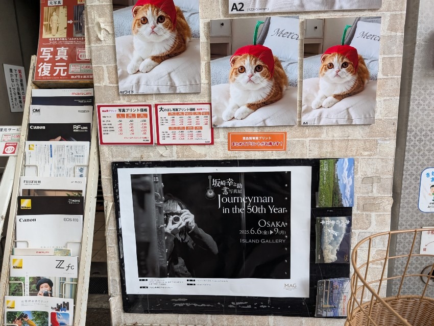 書写真展へ行ってきました！