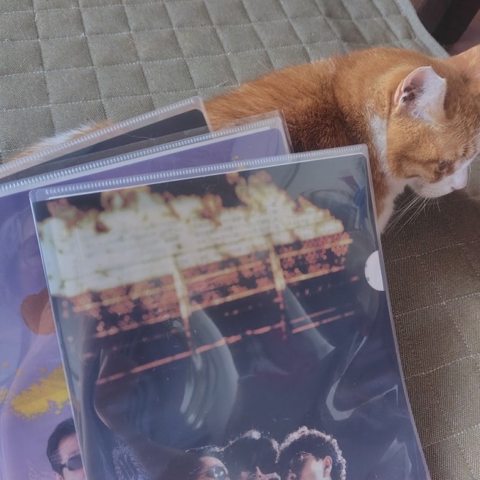 クリアファイルカバー