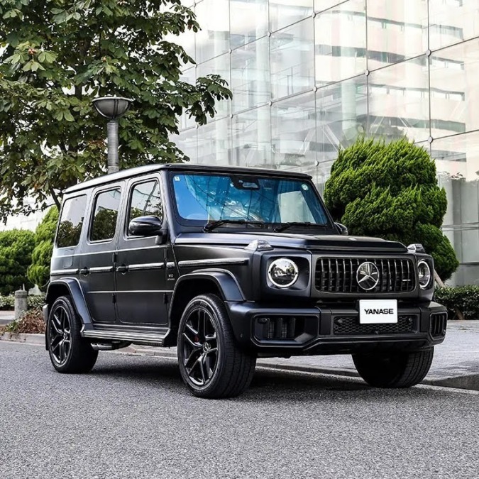 人気急上昇中⤴︎︎︎