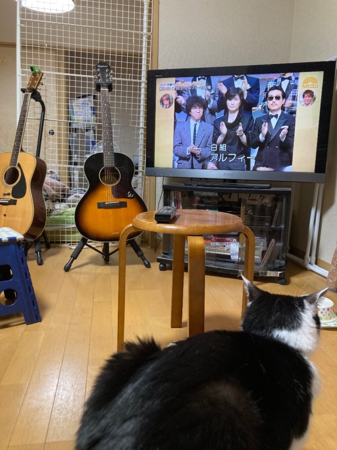 うたコン観ました♪♪♪