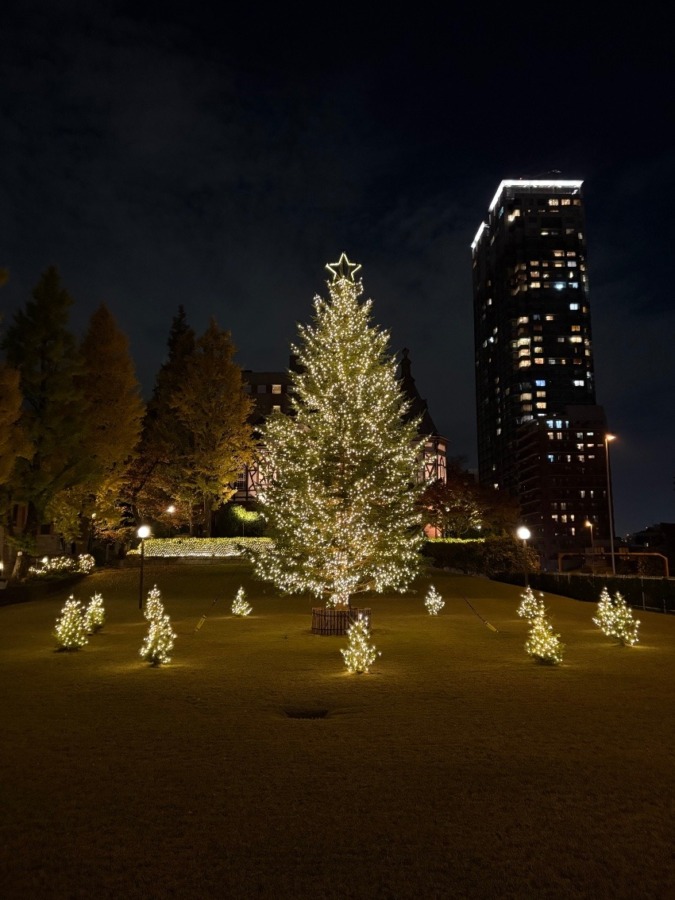 明治学院クリスマスツリー