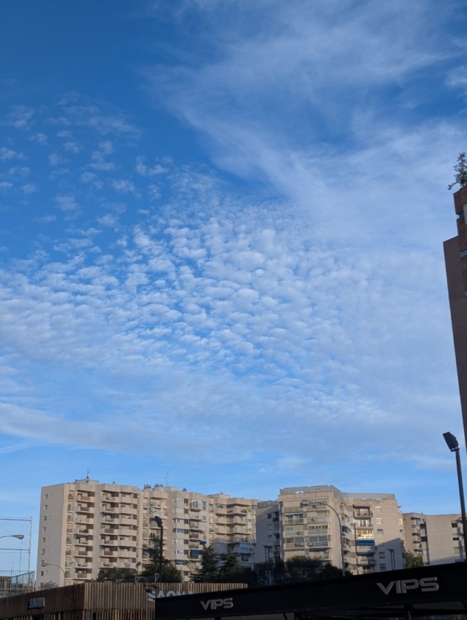 これからキャッチアップ