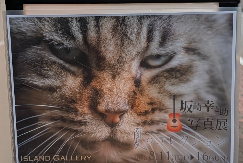 写真展&朝日新聞社