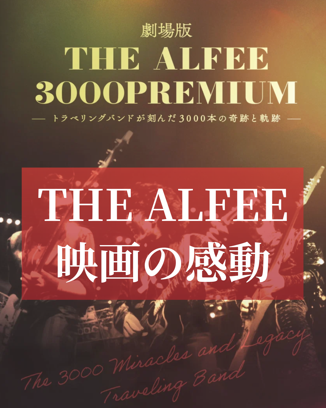 THEALFEE3000PREMIUMの感想