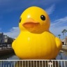 さきちゃん