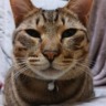 いわお